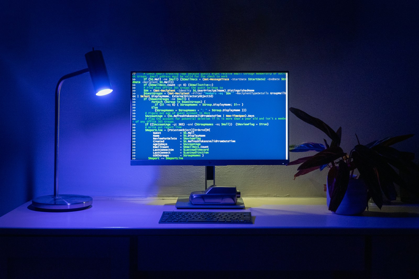 ソースコードを表示した開発環境